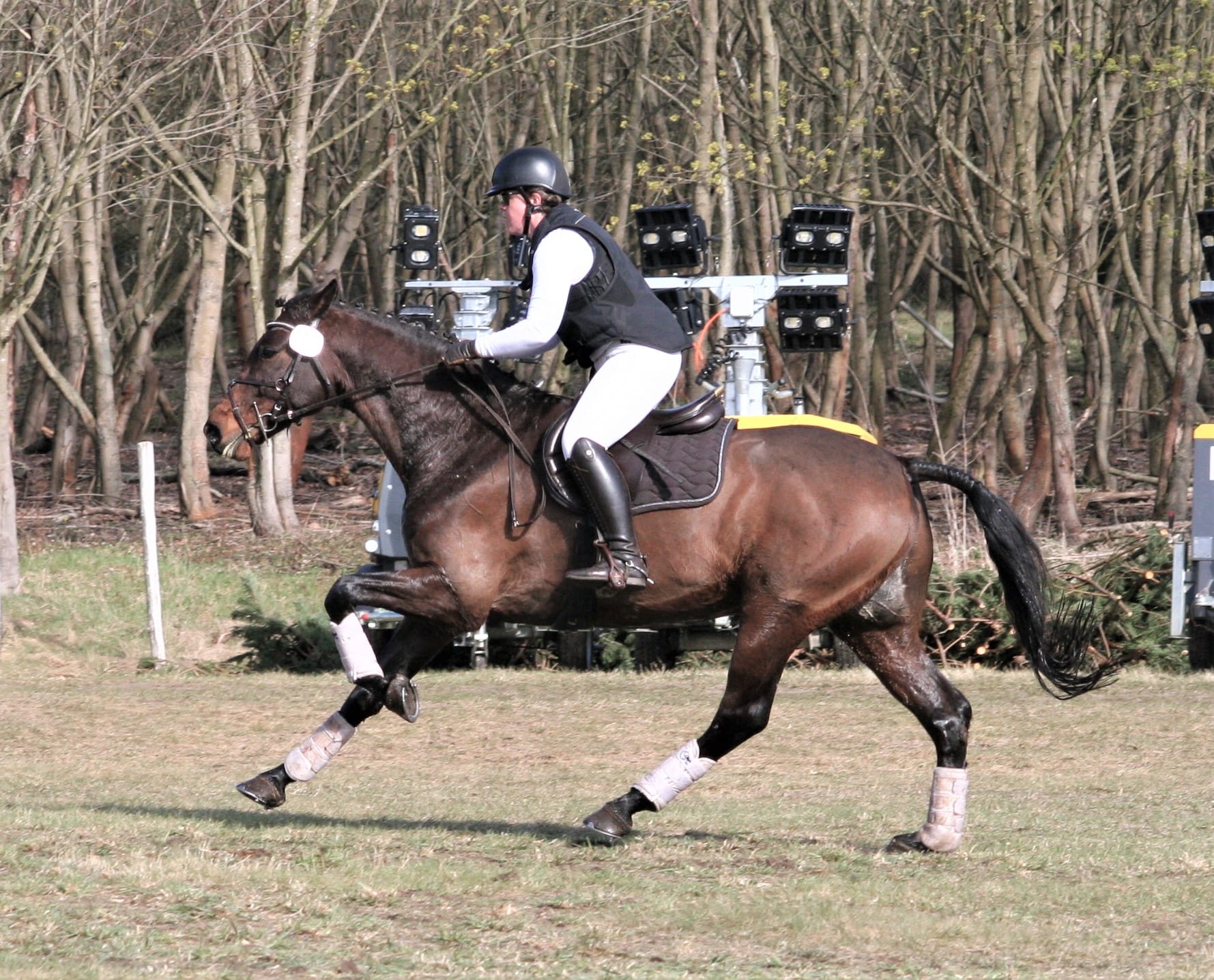 Stella im Gelände